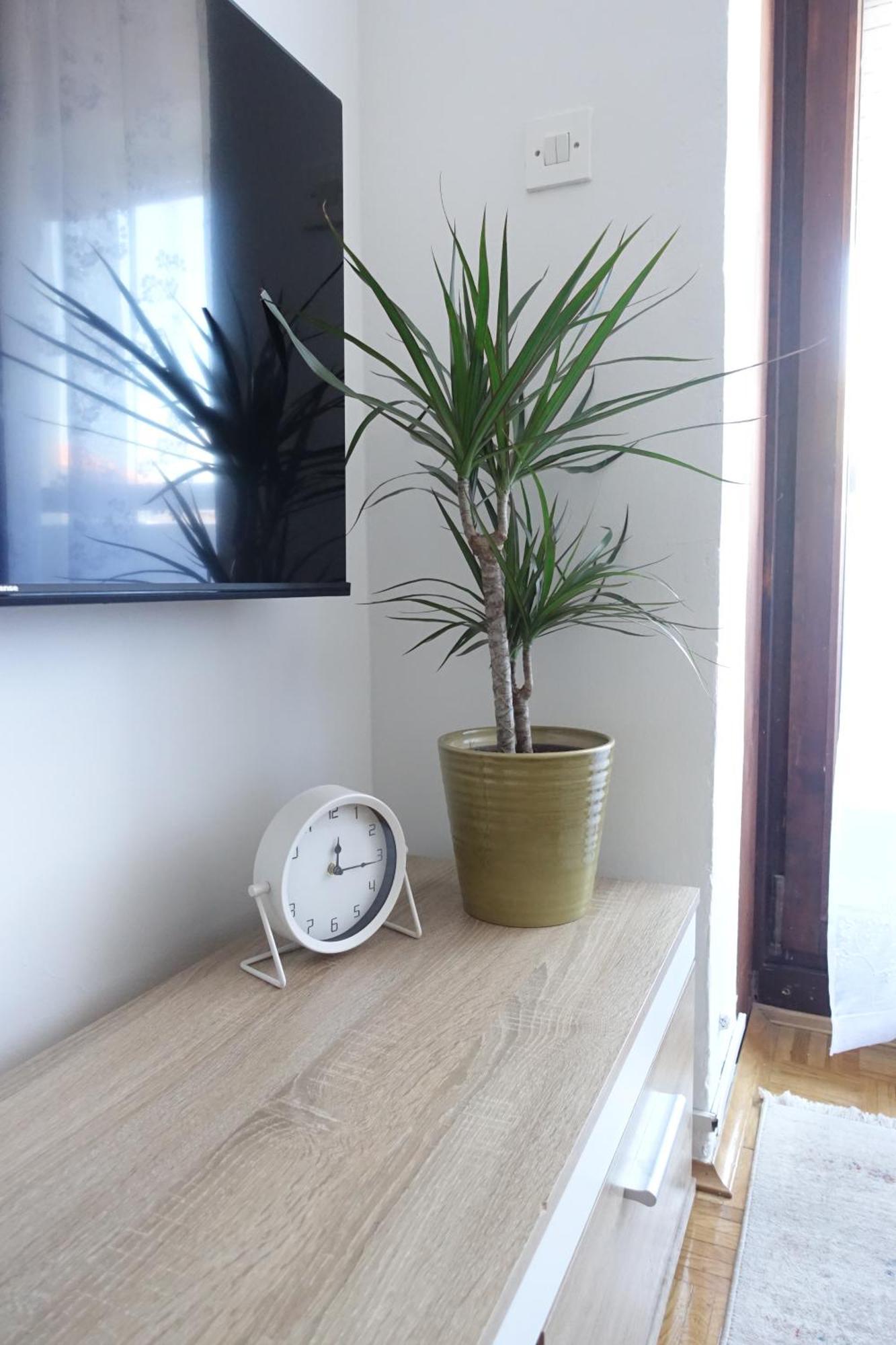 Apartman Tamara Zadar Bagian luar foto